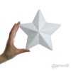 Styro 3D Stars